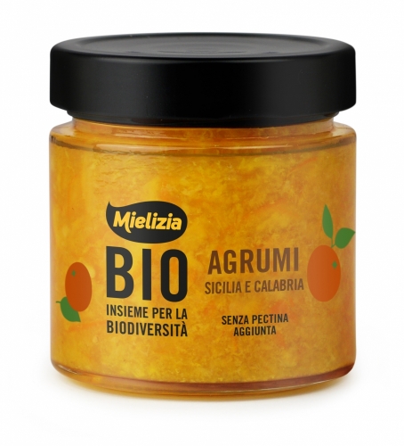 Compote d'agrumes bio 300 g