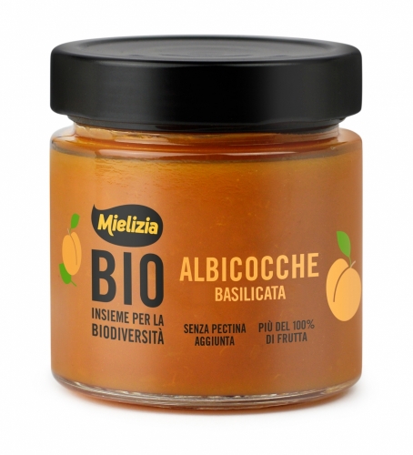 Compote of organic apricot 300 g